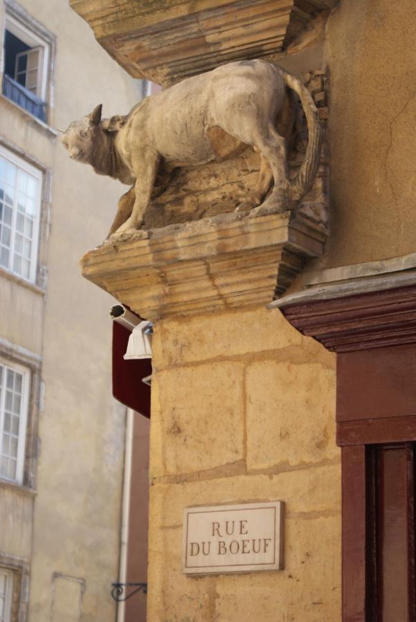 Gite L'Outarde Lyon Zewnętrze zdjęcie